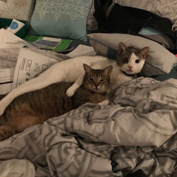 Meet your Posher, Suzie - Picture 14 of 16